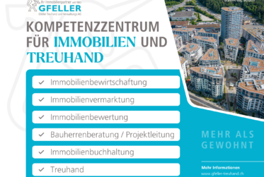 Grosse Dachmaisonette-Wohnung mit gedeckter Terrasse und Schwedenofen